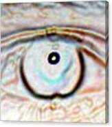 Eye Dot Canvas Print