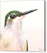 F. Ruby Throated Hummingbird Canvas Print