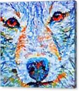 Face Of A Wolf Canvas Print