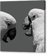 Face To Face Iv Bw Canvas Print