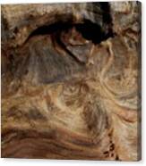 Faces In The Wood #3 Canvas Print