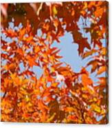 Fall Art Prints Orange Autumn Leaves Baslee Troutman Canvas Print