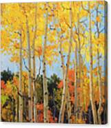 Fall Aspen Santa Fe Canvas Print