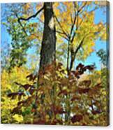 Fall Color Canopy In Ryerson Woods Canvas Print