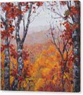 Fall Color Canvas Print