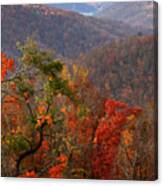 Fall Color Ponca Arkansas Canvas Print