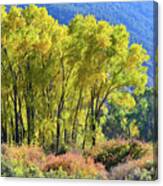 Fall Colors Along Colorado River Near Silt Canvas Print