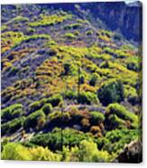 Fall Colors In The Hills Of Glenwood Springs Canvas Print
