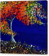 Fall Color's Canvas Print