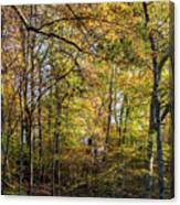 Fall Colors Of Rock Creek Park Canvas Print