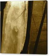 Fall Creel Falls In Sepia Canvas Print