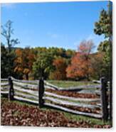 Fall Fence Canvas Print