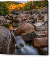Fall Foliage In New Hampshire Swift River Canvas Print