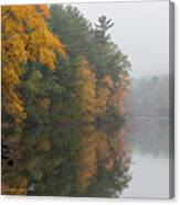 Fall Foliage In The Fog Canvas Print