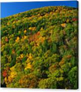 Fall Foliage Photography Canvas Print