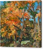 Fall Glory Canvas Print