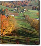 Fall In Amish Country 5799 Canvas Print