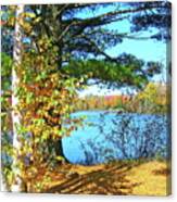 Fall In Phillips Wi Canvas Print