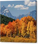 Fall In The Tetons Canvas Print