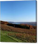 Fall In The Vineyards Canvas Print