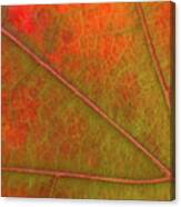 Fall Leaf Jewel Canvas Print
