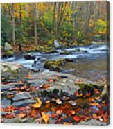 Fall Leaves Along Big Creek Canvas Print