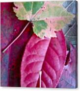 Fall Leaves Canvas Print