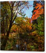 Fall Meadow And Sunburst Canvas Print