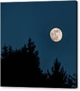 Fall Moon Over The Tree Tops Canvas Print