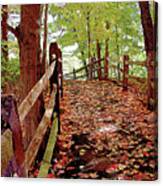 Fall Pathway Canvas Print