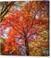 Fall Red Canvas Print