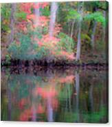 Fall Reflections Canvas Print