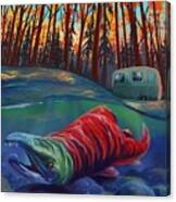 Fall Salmon Fishing Canvas Print