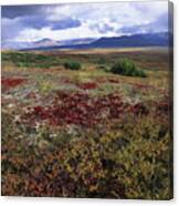 Fall Season Tundra Canvas Print