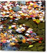 Fallen Leaves Birch River Canvas Print