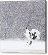 Family Dance In The Snow Canvas Print