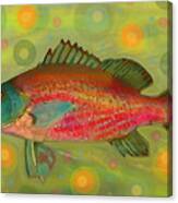 Fanciful Pink Snapper Canvas Print