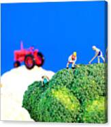 Farming On Broccoli And Cauliflower Ii Canvas Print