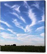 Feathers In Blue Sky Canvas Print