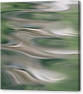 Water Feathers Canvas Print