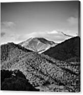 Feathertop Canvas Print