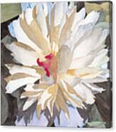Feathery Flower Canvas Print