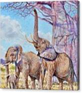 Feeding Elephants Canvas Print
