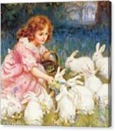 Feeding The Rabbits Canvas Print