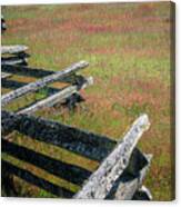Fence And Field Canvas Print