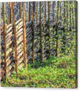 Fence May 2016 Canvas Print