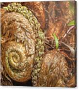 Fern Headdress Canvas Print