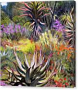 Fernkloof Fynbos Canvas Print