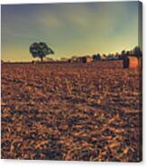 Field In The Moonlight Canvas Print