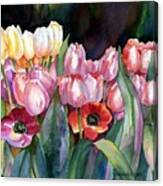 Field Of Tulips Canvas Print